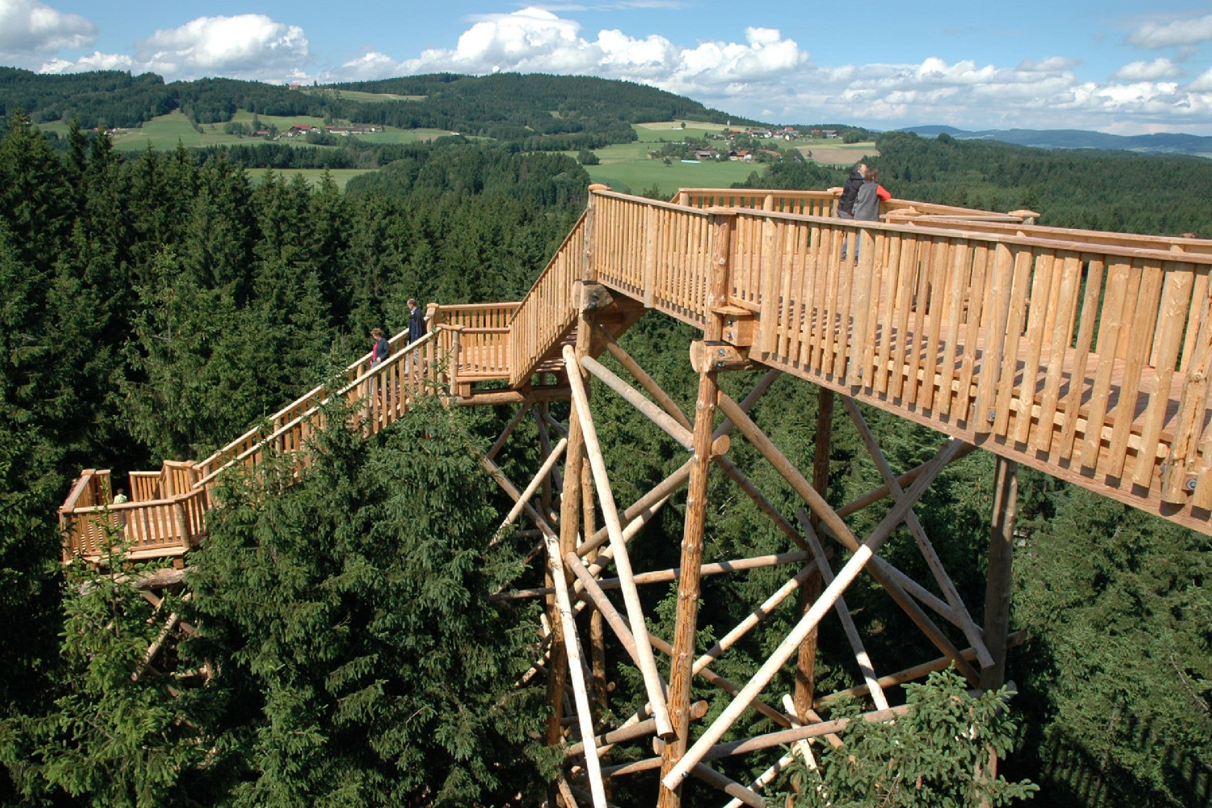 Baumkronenweg