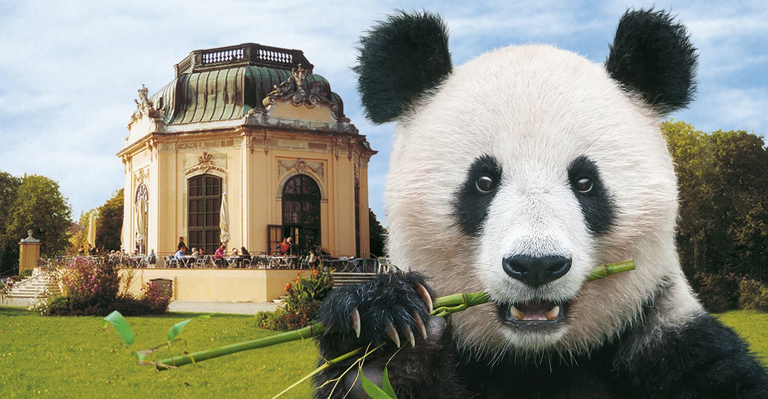Tiergarten Schönbrunn